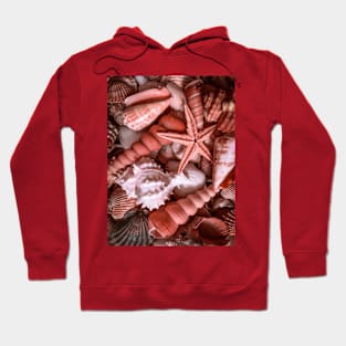 Pink Seashells Summer Caribbean Vacation Hoodie